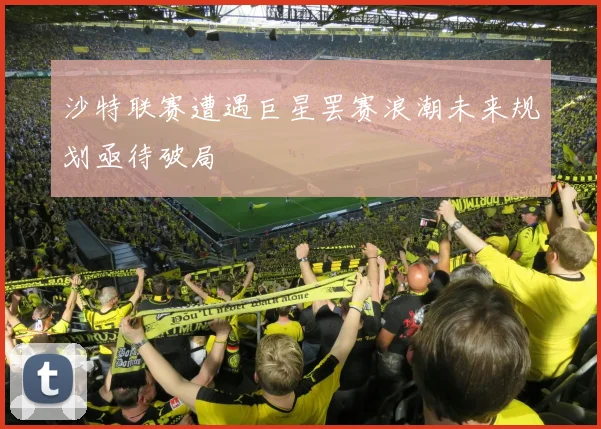 沙特联赛遭遇巨星罢赛浪潮未来规划亟待破局