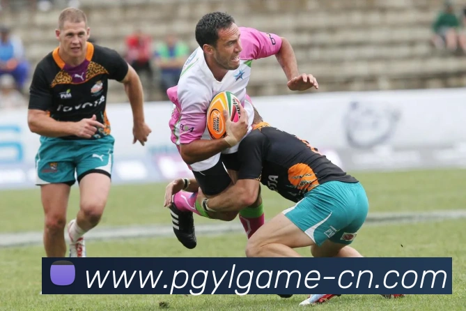 pg游戏：全球职业竞技娱乐资讯与实时数据交互门户服务体系