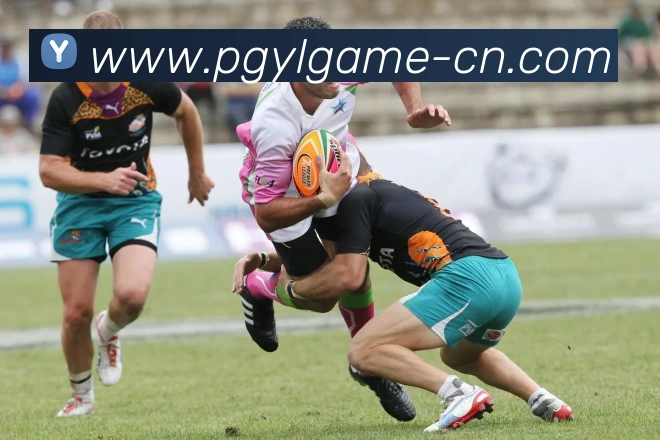 多媒体互动体验