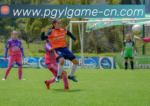 数据防护可视化